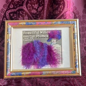 Framed 4X6 Beautiful Willow Plumes Feather Vintage Magazine 1900's Art